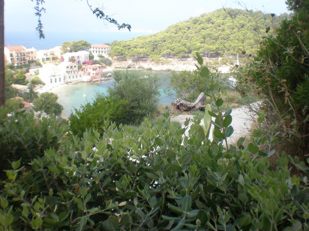 Apartmán Assos Caldera Asos Exteriér fotografie