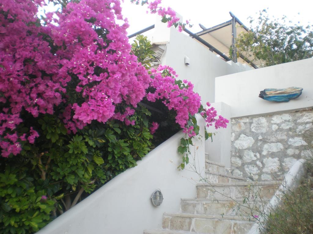 Apartmán Assos Caldera Asos Exteriér fotografie